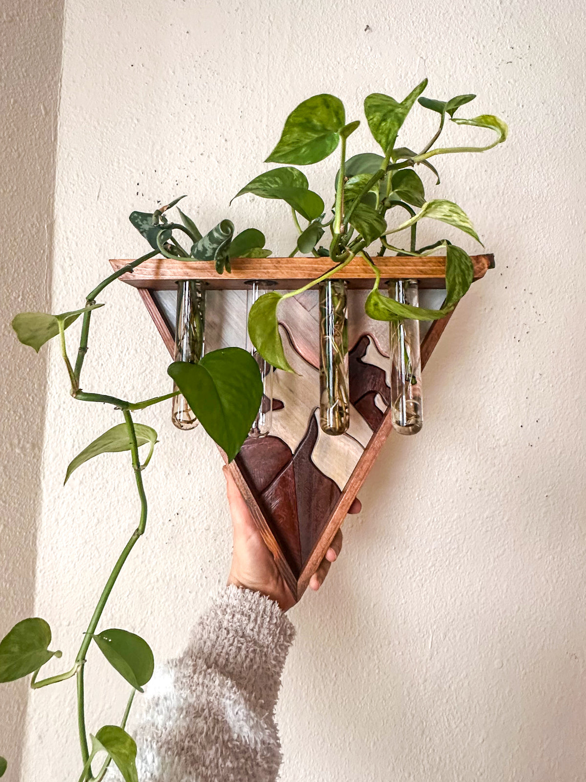 Walnut Poplar Peaks Triangle Propagation Shelf // Wood Art Bud Vase