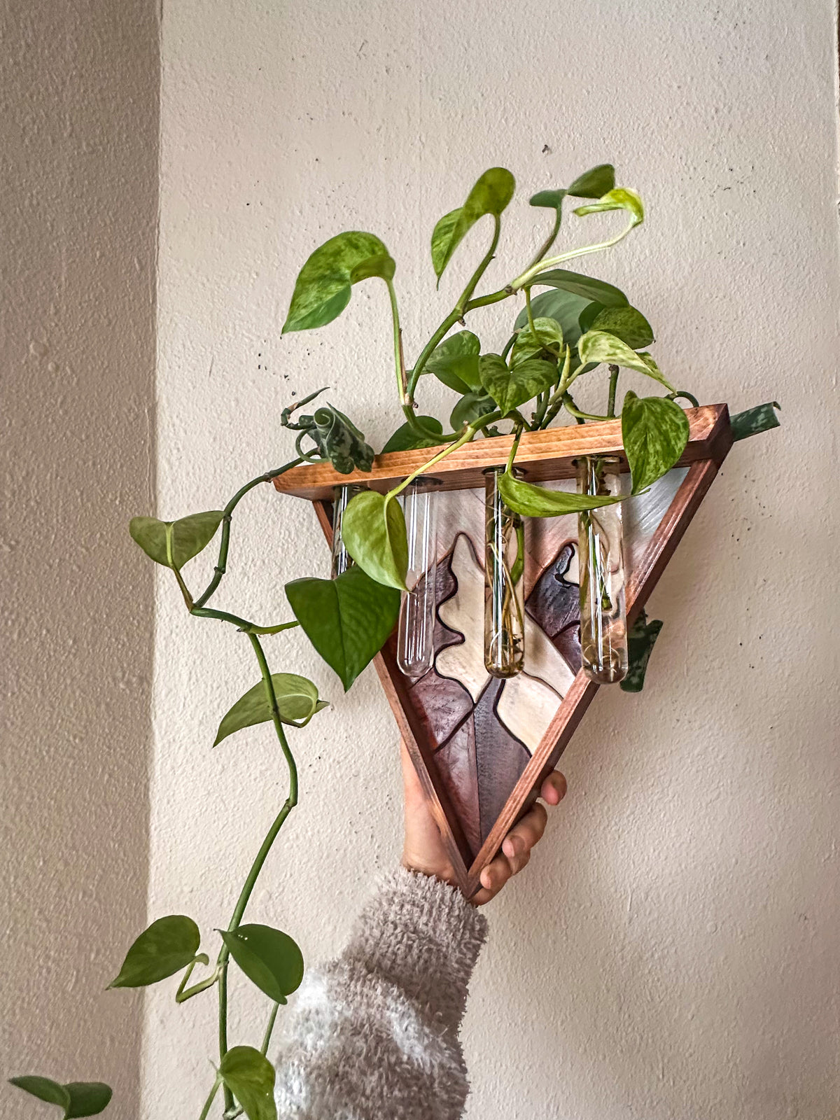 Walnut Poplar Peaks Triangle Propagation Shelf // Wood Art Bud Vase