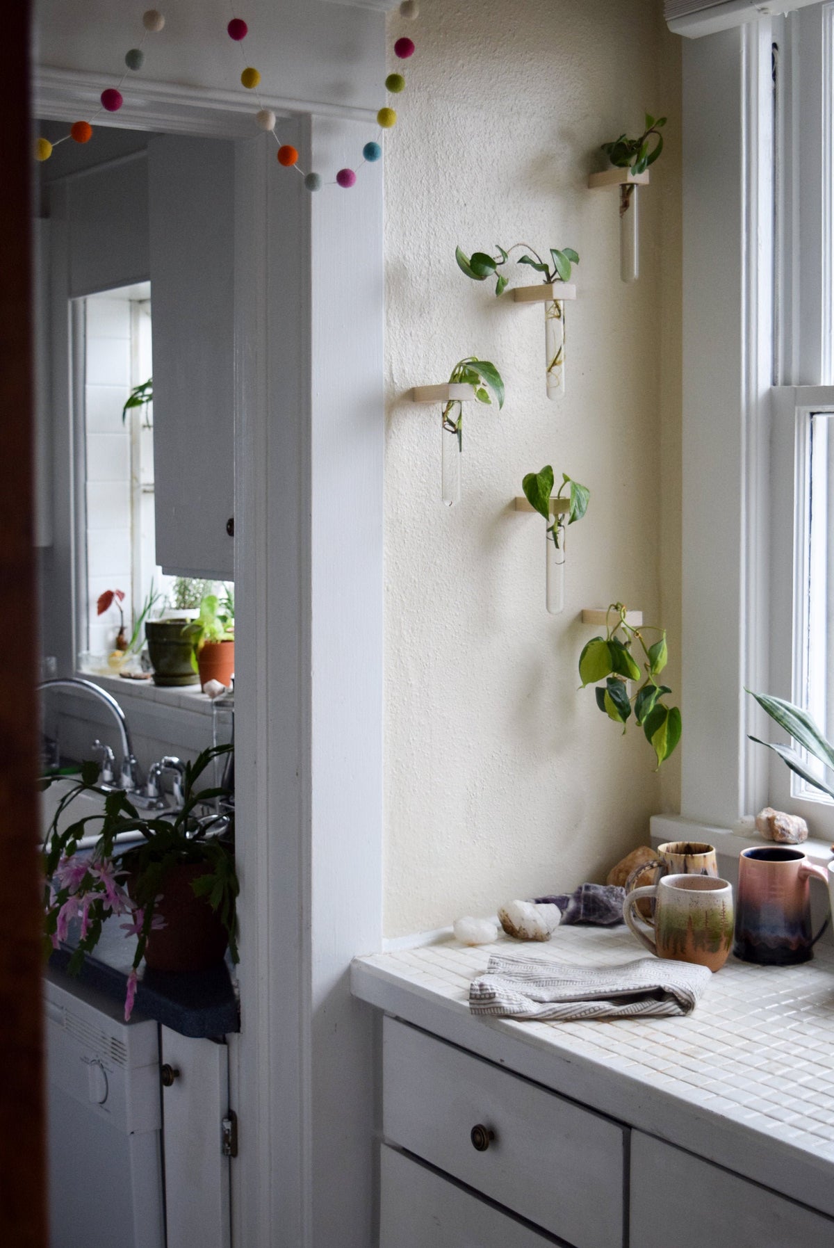 plant propagation wall hanging Single Propagation Station // Bud vase // Propagation Wall // Wood Plant Display // Propagation Display Hanging Wall // Plant Wall Planter
